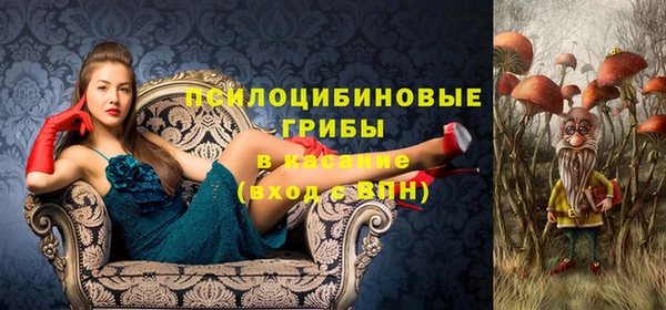 стафф Абдулино