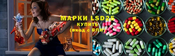 ешки Алзамай