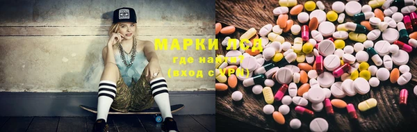 ешки Алзамай